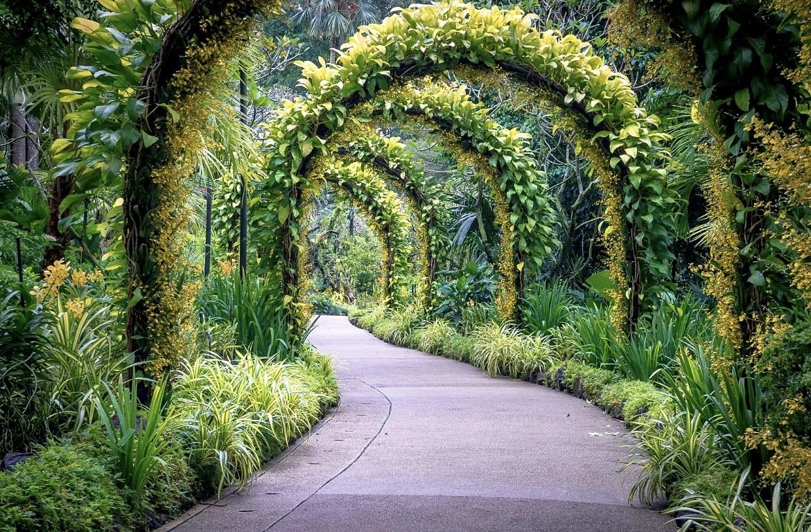 Lush planted living space with tropical foliage